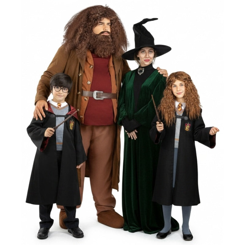 Groepskostuums Hogwarts van Harry Potter