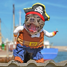 Disfraces para Perros